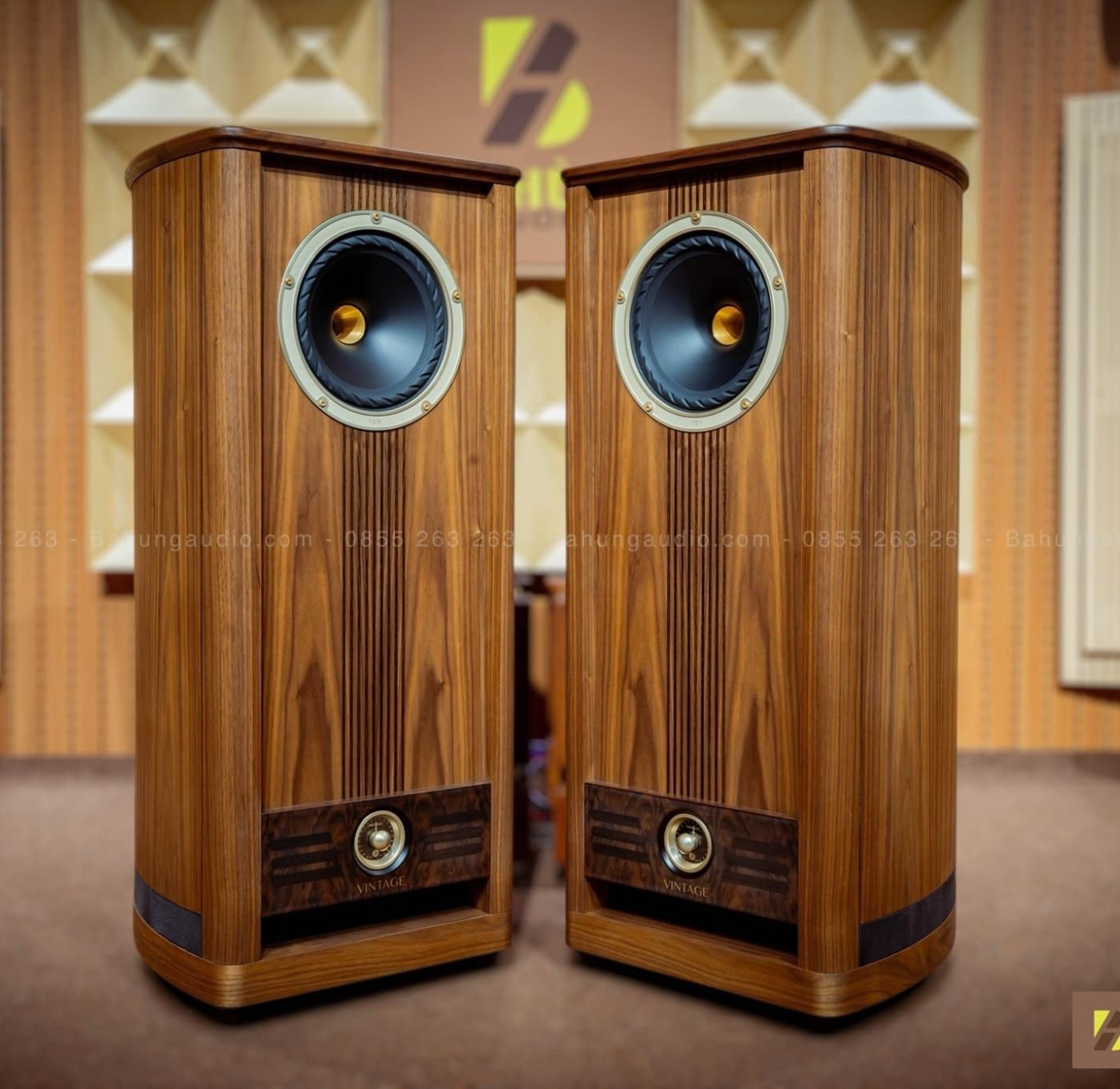 Loa Fyne Audio Vintage 10 Đẹp Xuất Sắc