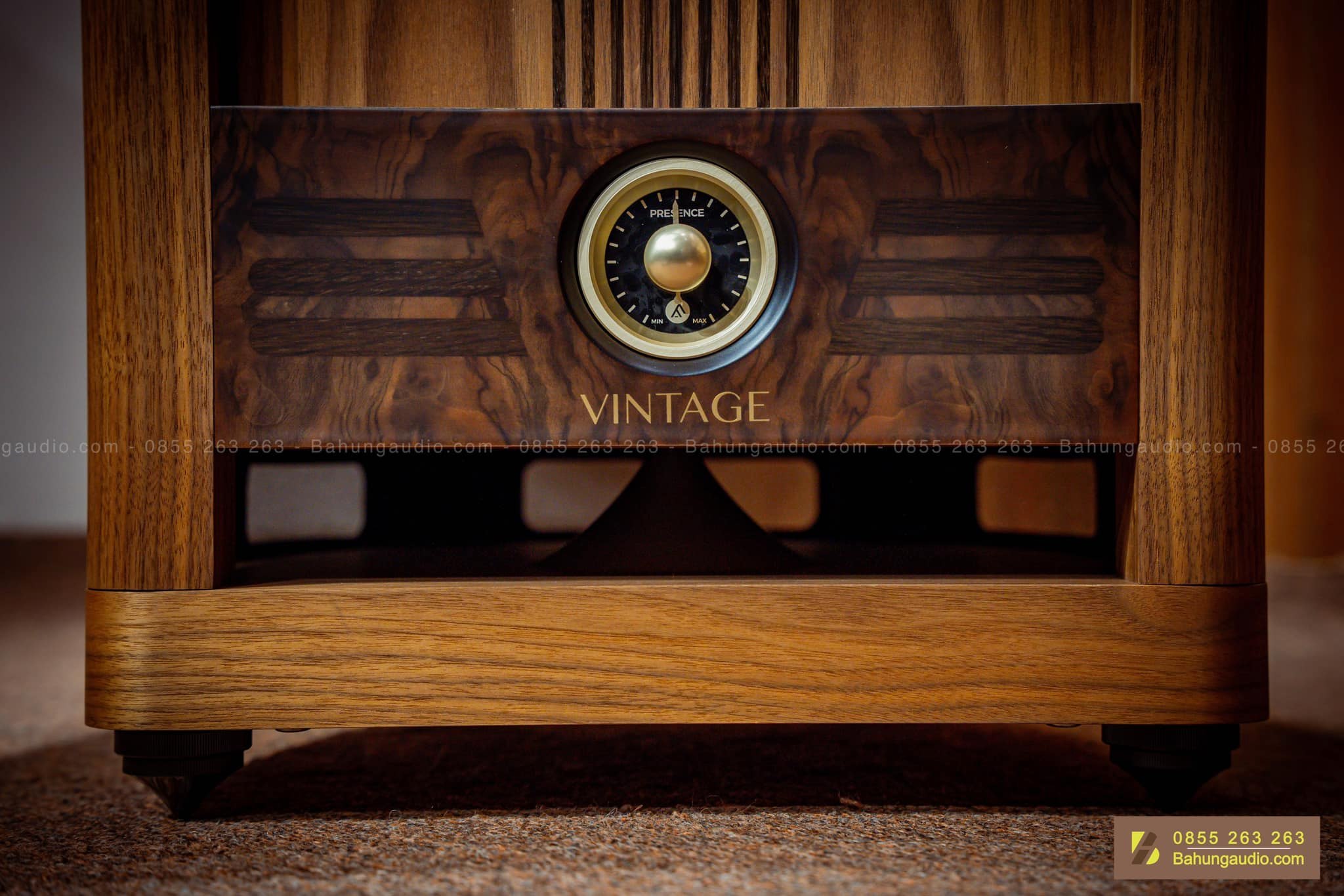 Loa Fyne Audio Vintage 10 Đẹp Xuất Sắc