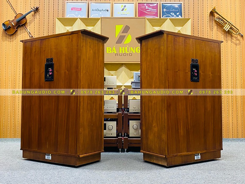 Loa Tannoy Memory HE Đẹp Xuất Sắc