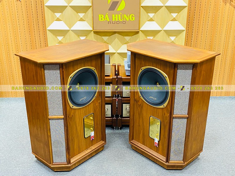 Loa Tannoy Memory HE Đẹp Xuất Sắc