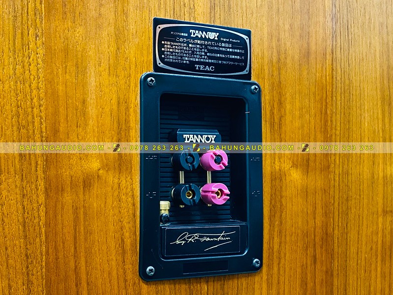 Loa Tannoy Memory HE Đẹp Xuất Sắc