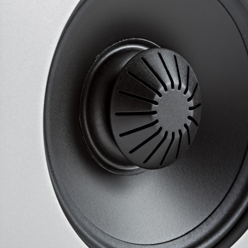 Loa Definitive Technology Demand D9