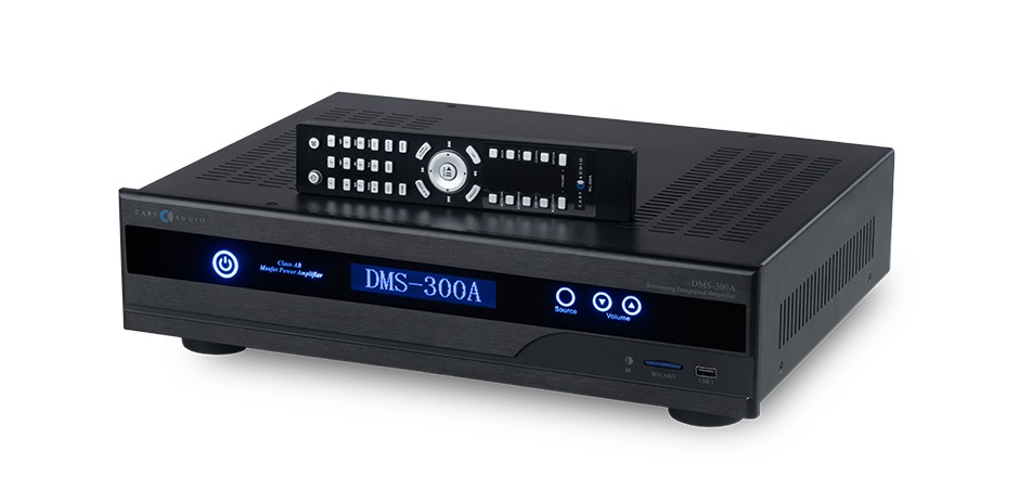 Amply Cary Audio DMS-300A