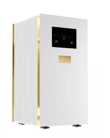 Mono Power Amp Goldmund  Telos 4800