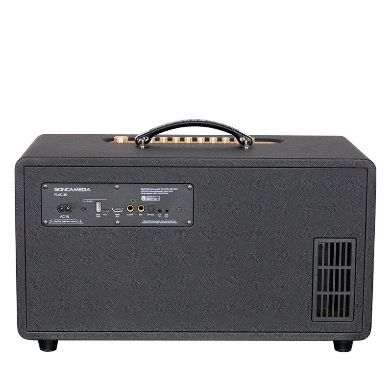 Loa Acnos Flac 36 Ver2