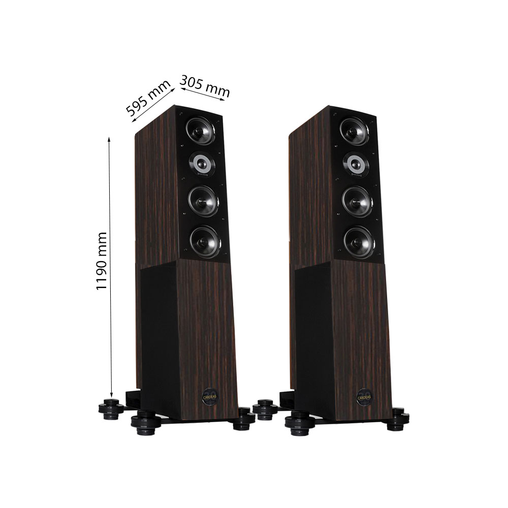 Loa Audio Physic Cardeas 30 Jubilee Edition
