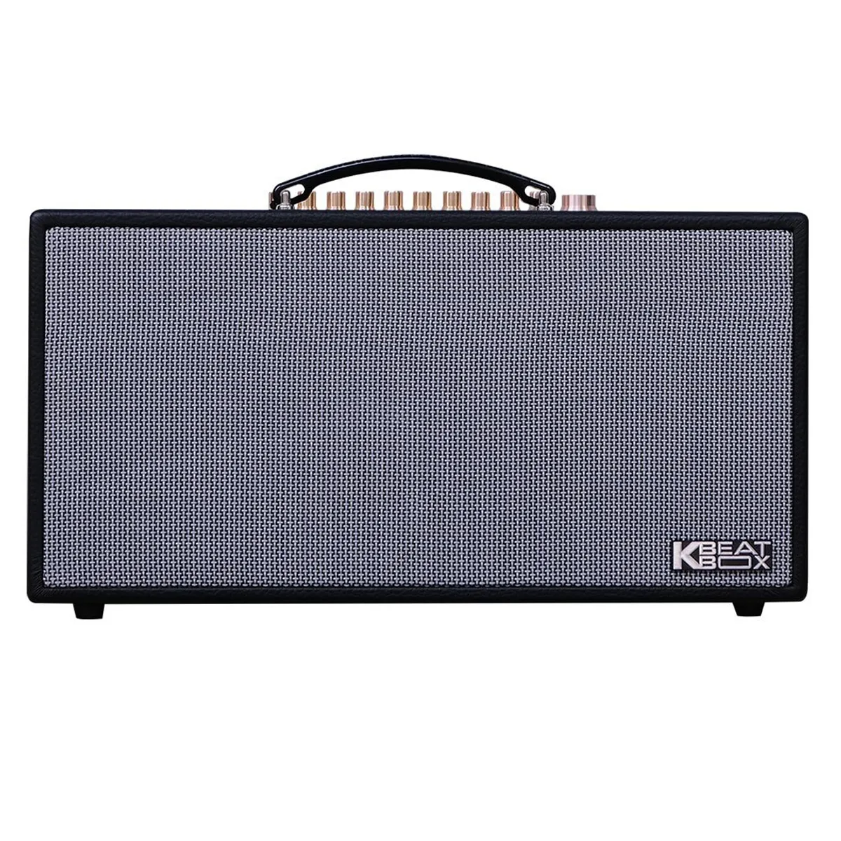 Loa Xách Tay Acnos CS450 Alpha (2 Bass 16.5cm, 150W, Kèm 2 Micro)