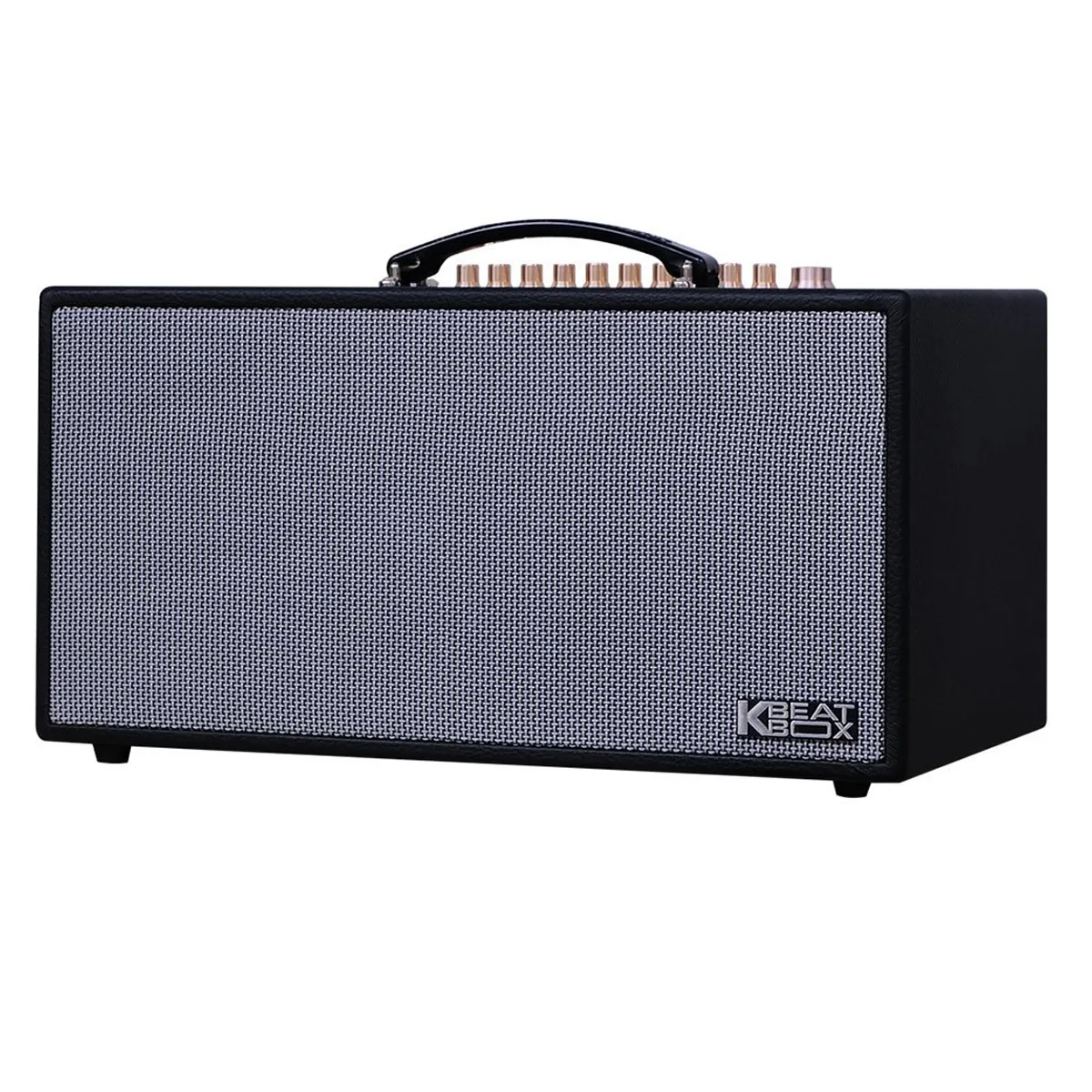 Loa Xách Tay Acnos CS450 Alpha (2 Bass 16.5cm, 150W, Kèm 2 Micro)