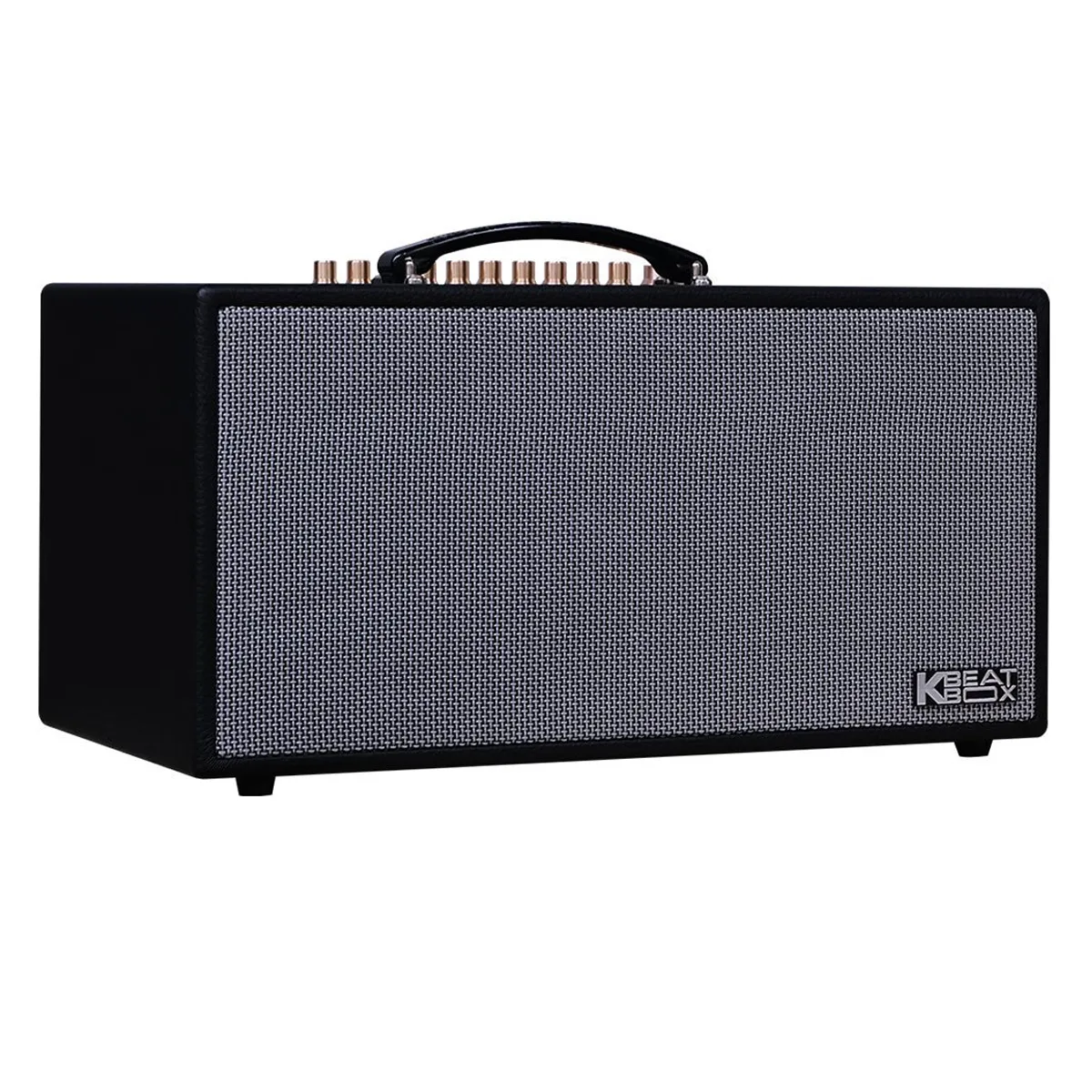 Loa Xách Tay Acnos CS450 Alpha (2 Bass 16.5cm, 150W, Kèm 2 Micro)