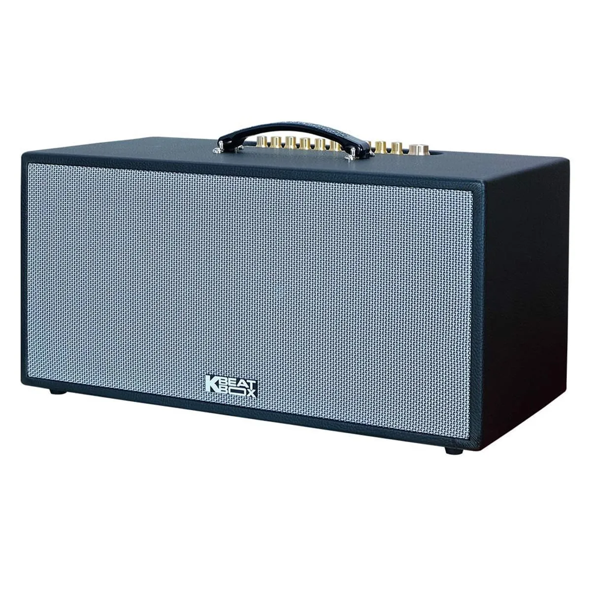 loa xach tay acnos cs451plus 2
