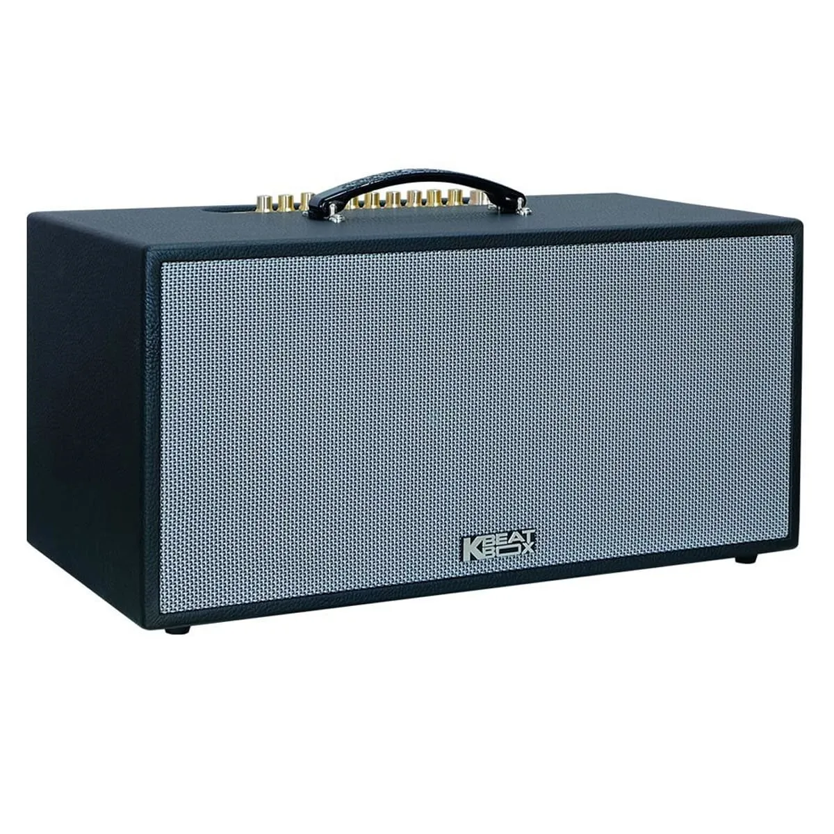 Loa Xách Tay Acnos CS451 Plus ( Bass 20cm, RMS 250W, Kèm 2 micro)