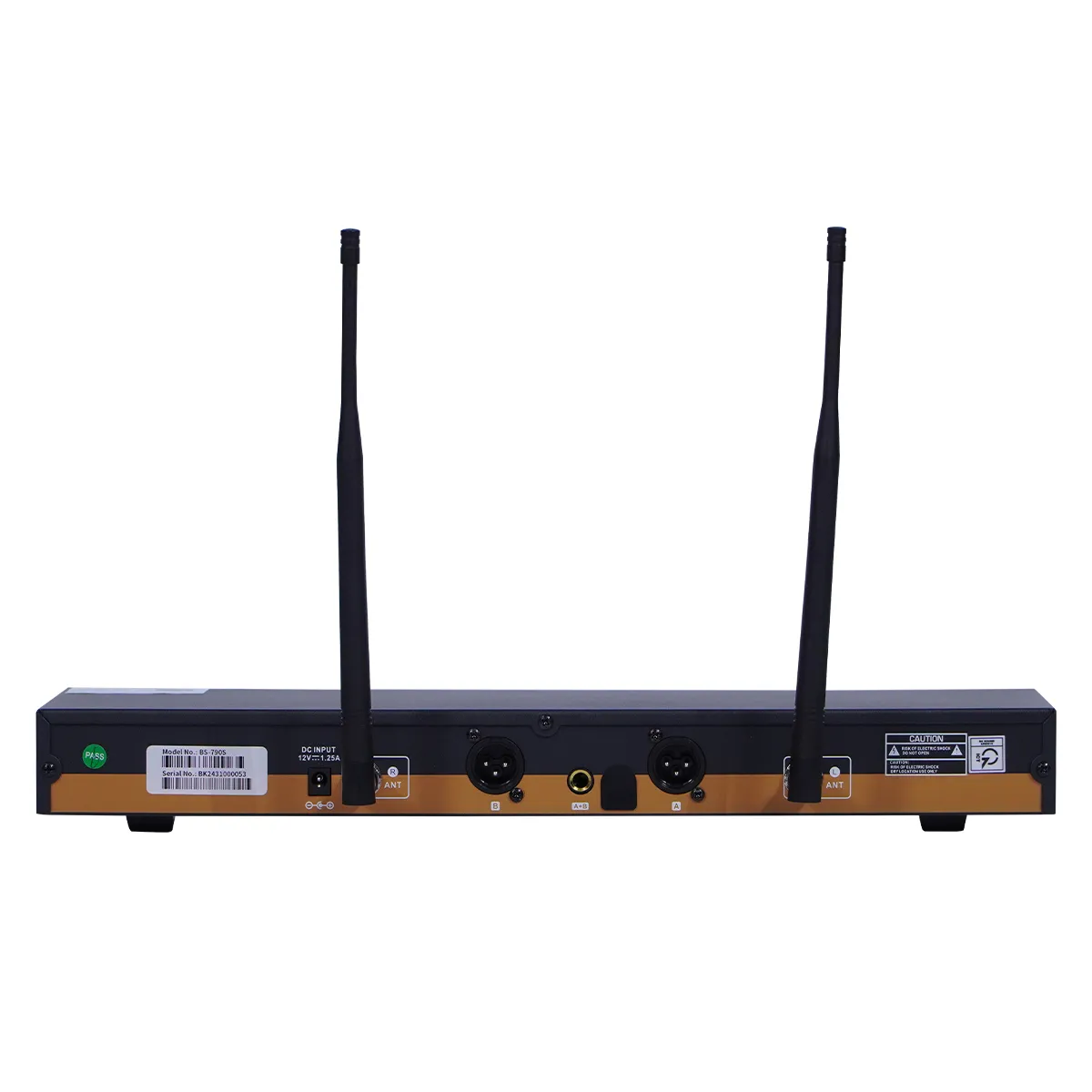 Micro Không Dây Baiervires BS-790s