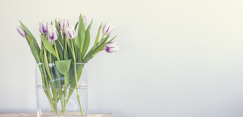 Cách cắm hoa tươi lâu chị em nên biết