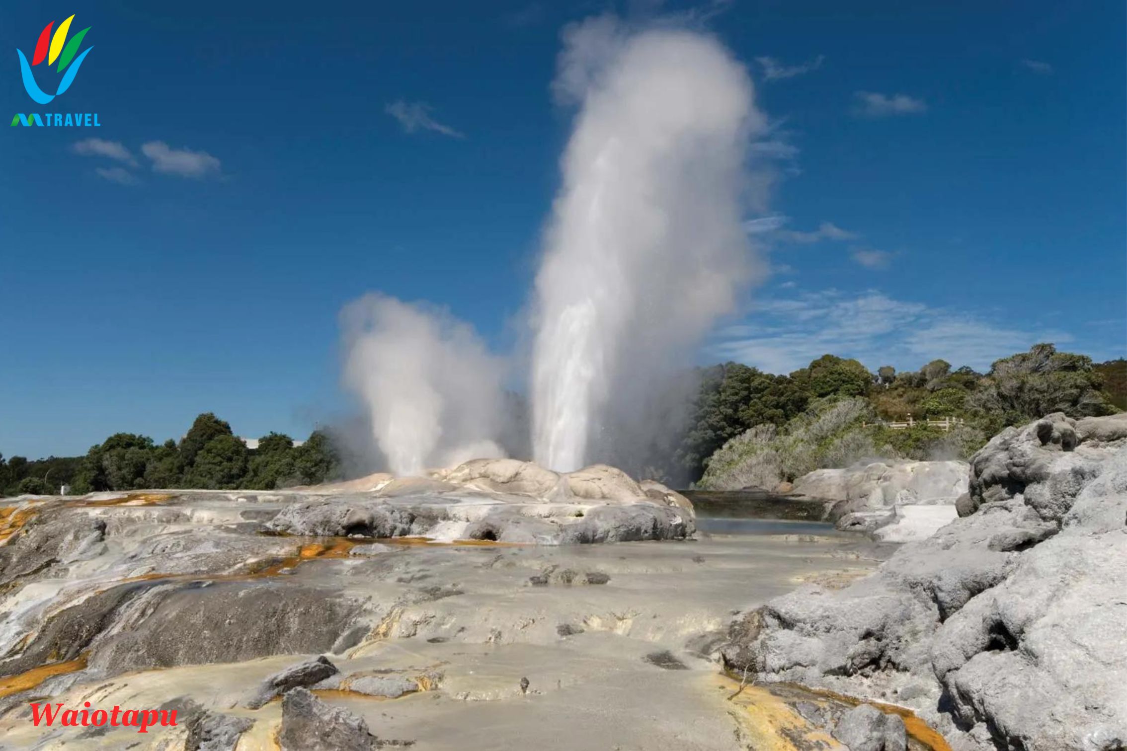 Tour Bắc Đảo New zealand: AUCKLAND – ROTORUA – MATAMATA - HAMILTON 7 ngày 6 đêm kh 2023