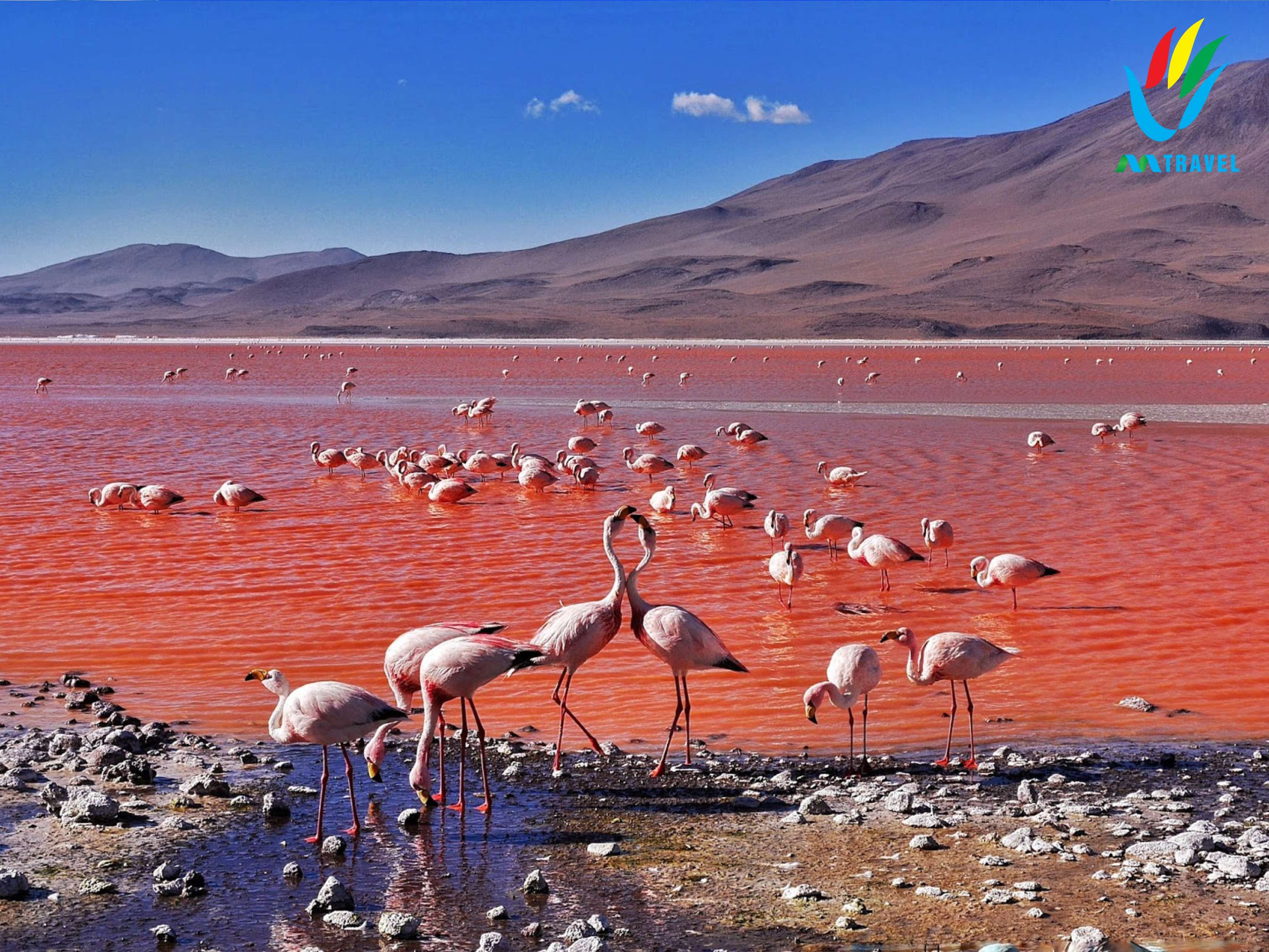 Tour Nam Mỹ: Peru - Amazon - Bolivia - Hồ Titicaca - Chi Lê - Đảo Phục Sinh 22 Ngày 2025