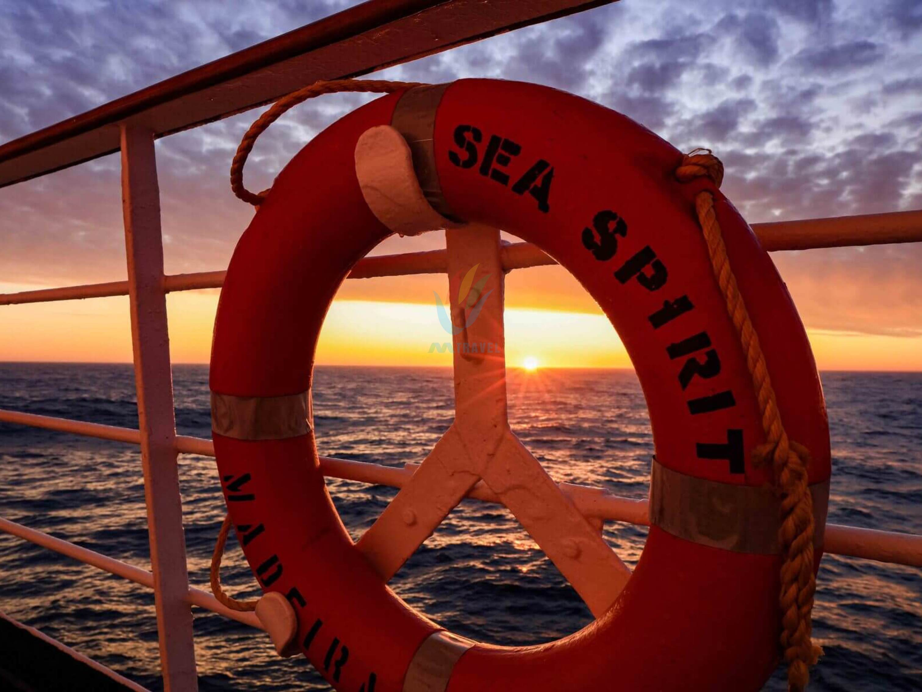 Tour Chào Mừng Năm mới tại Nam Cực 2024