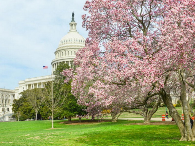 TOUR MỸ : LIÊN TUYẾN ĐÔNG - TÂY HOA KỲ 10 ngày 09 đêm kh 2023