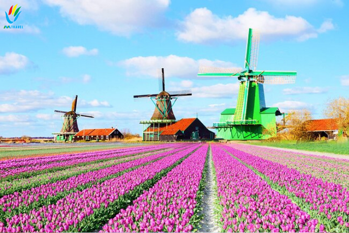 Tour Du Thuyền Sông Rhine: Amsterdam- Koln - Koblenz – Boppard - Rüdesheim - Speyer - Strasbourg – Basel 10n9d kh 27_8_22