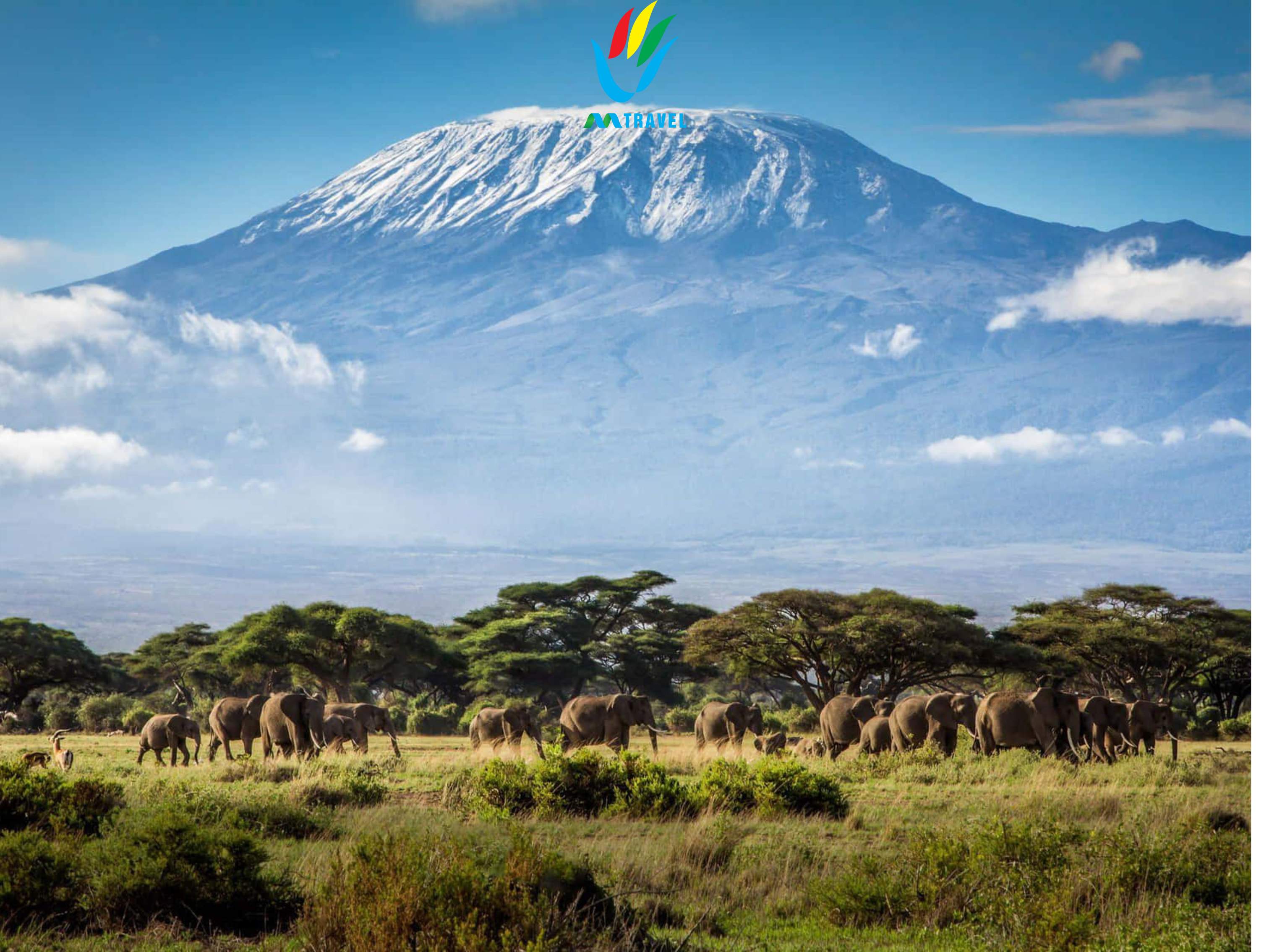 Tour độc lạ: Trecking đỉnh núi Kilimanjaro-Tanzania 2024
