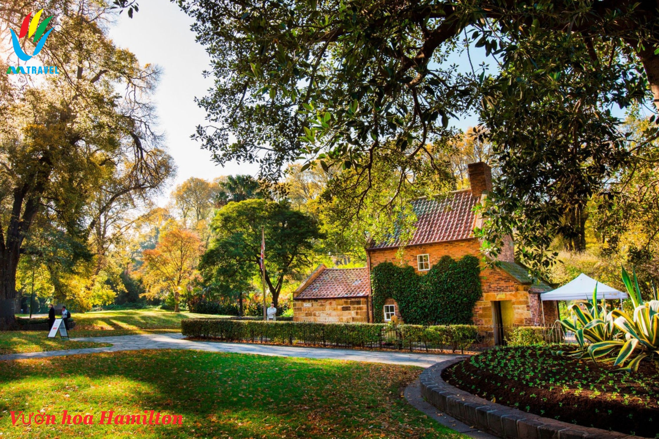 Tour Bắc Đảo New zealand: AUCKLAND – ROTORUA – MATAMATA - HAMILTON 7 ngày 6 đêm kh 2023