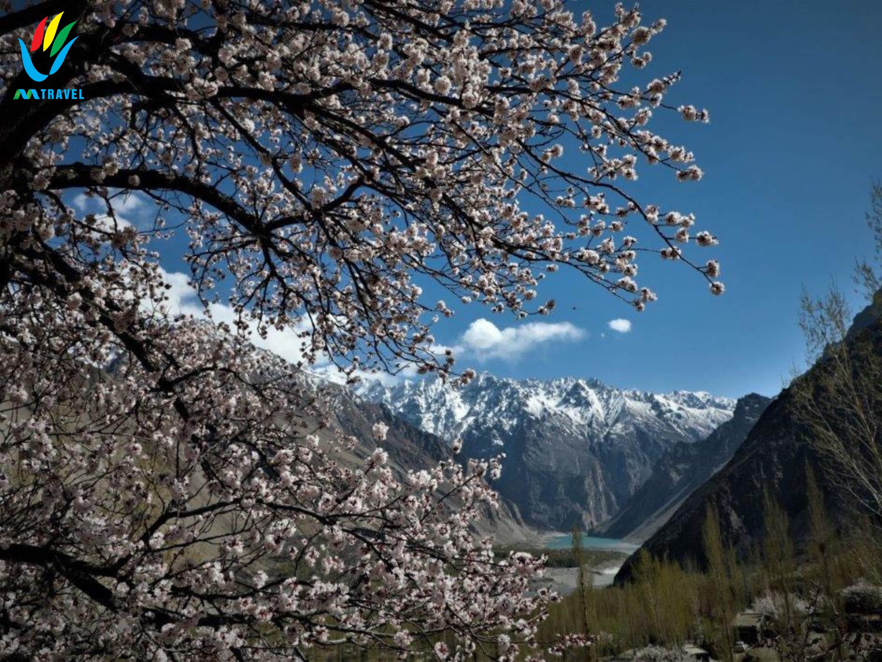 Tour Pakistan: Lahore -Islamabad – Hunza – Hopar Valley – Khunjerab – Passu – Besham Mùa Xuân 2024