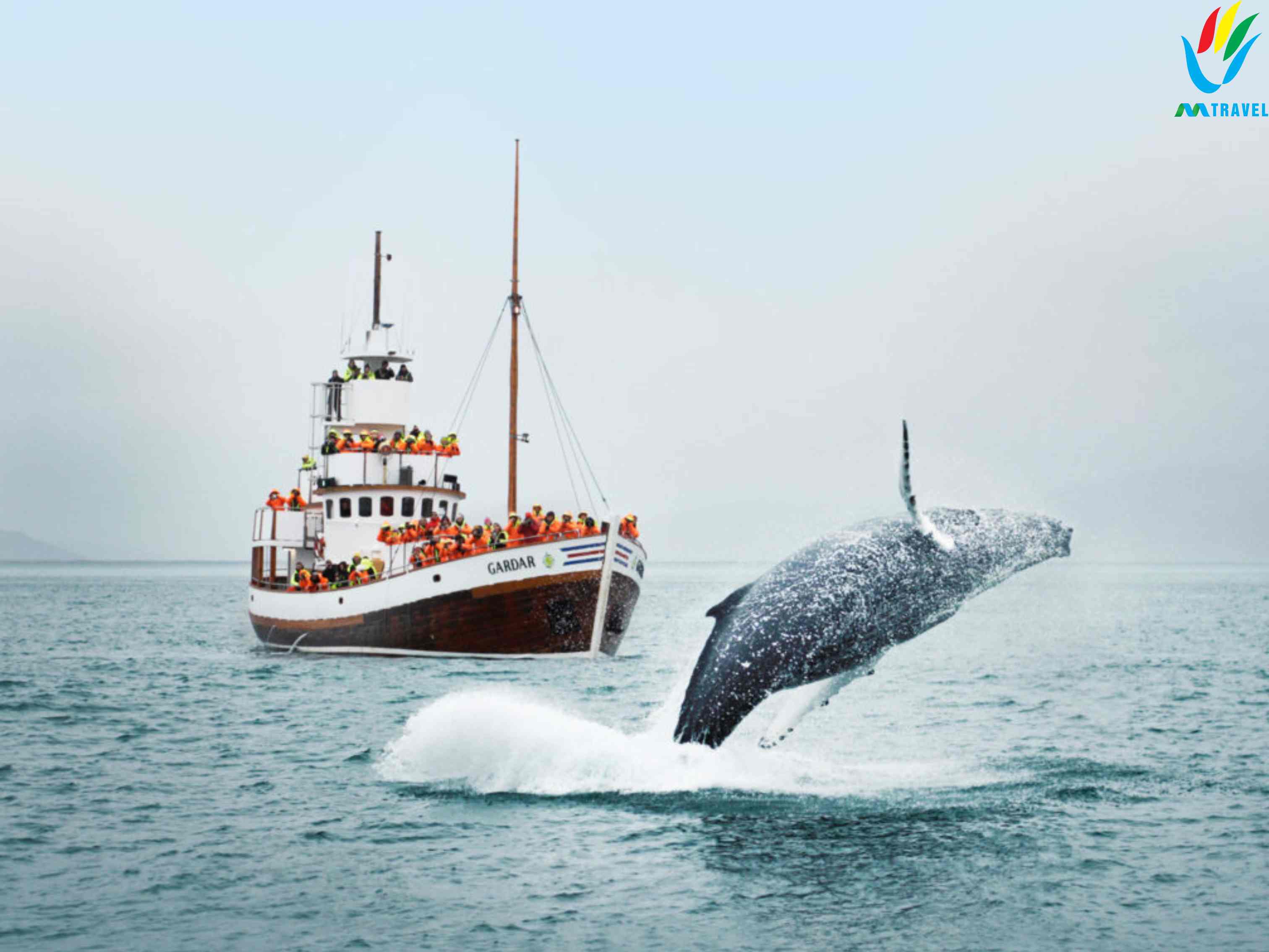 Tour Iceland 11 ngay 10 đêm mua thu 2023