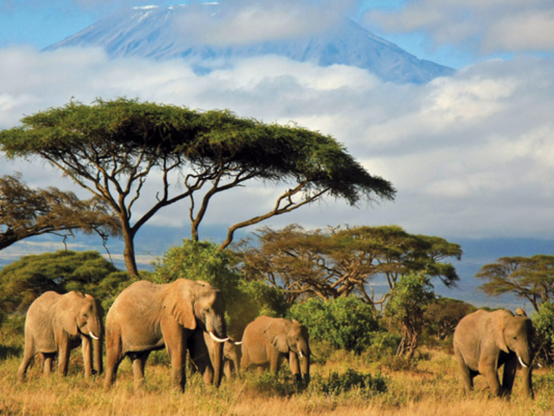 TOUR ĐẶC BIỆT: DU NGOẠN NAM PHI - MADAGASCAR- 17N16Đ - 2022