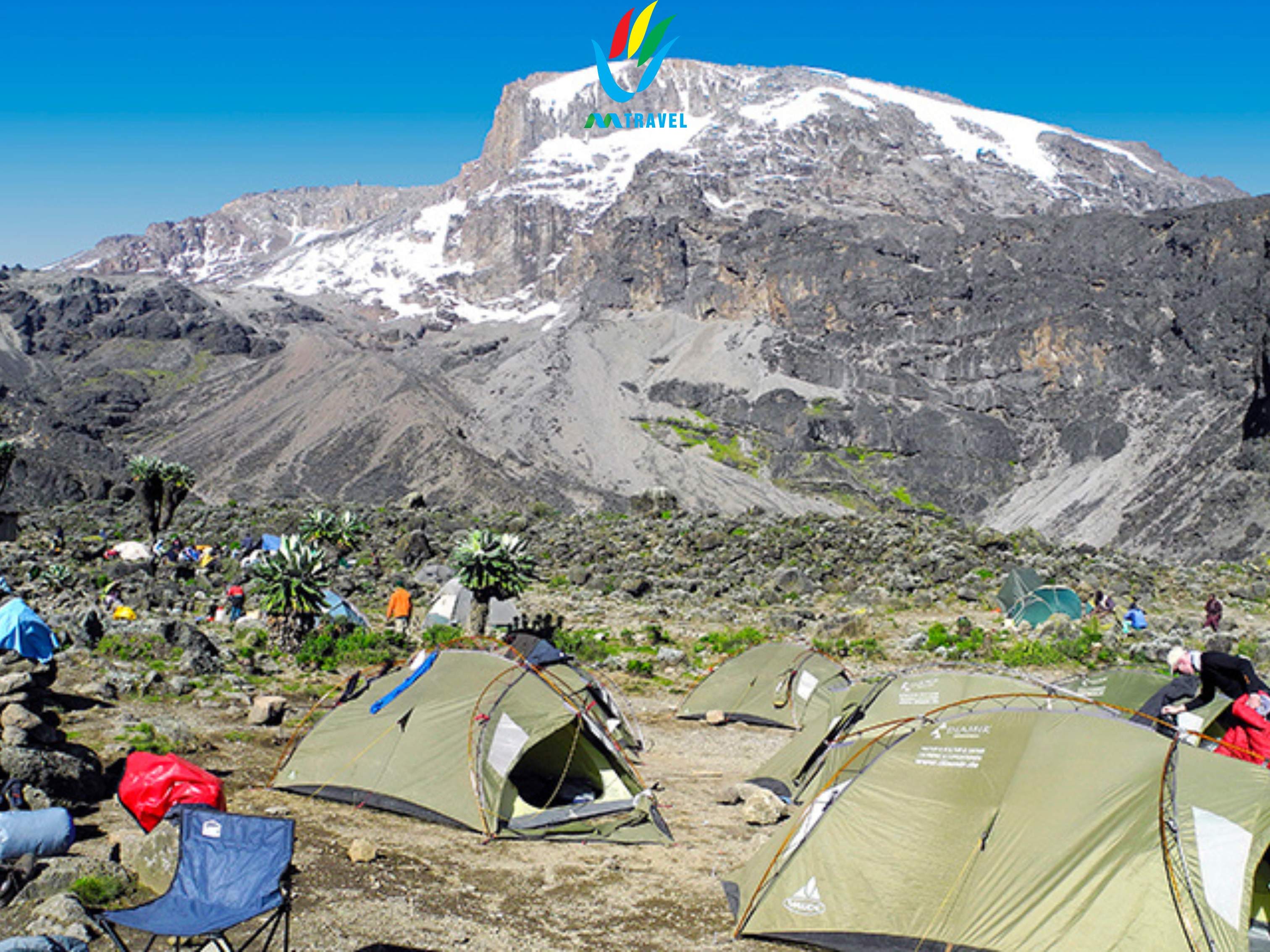 Tour độc lạ: Trecking đỉnh núi Kilimanjaro-Tanzania 2024