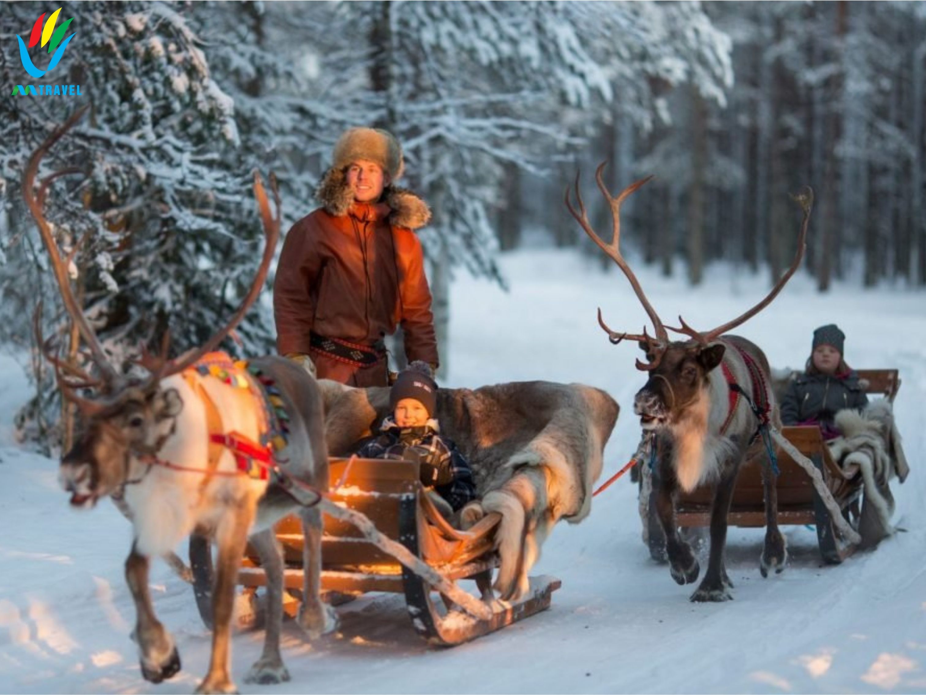 Tour Săn bắc cực quang trên du thuyền bắc cực, thăm làng ông Già Noel 10_3_2024