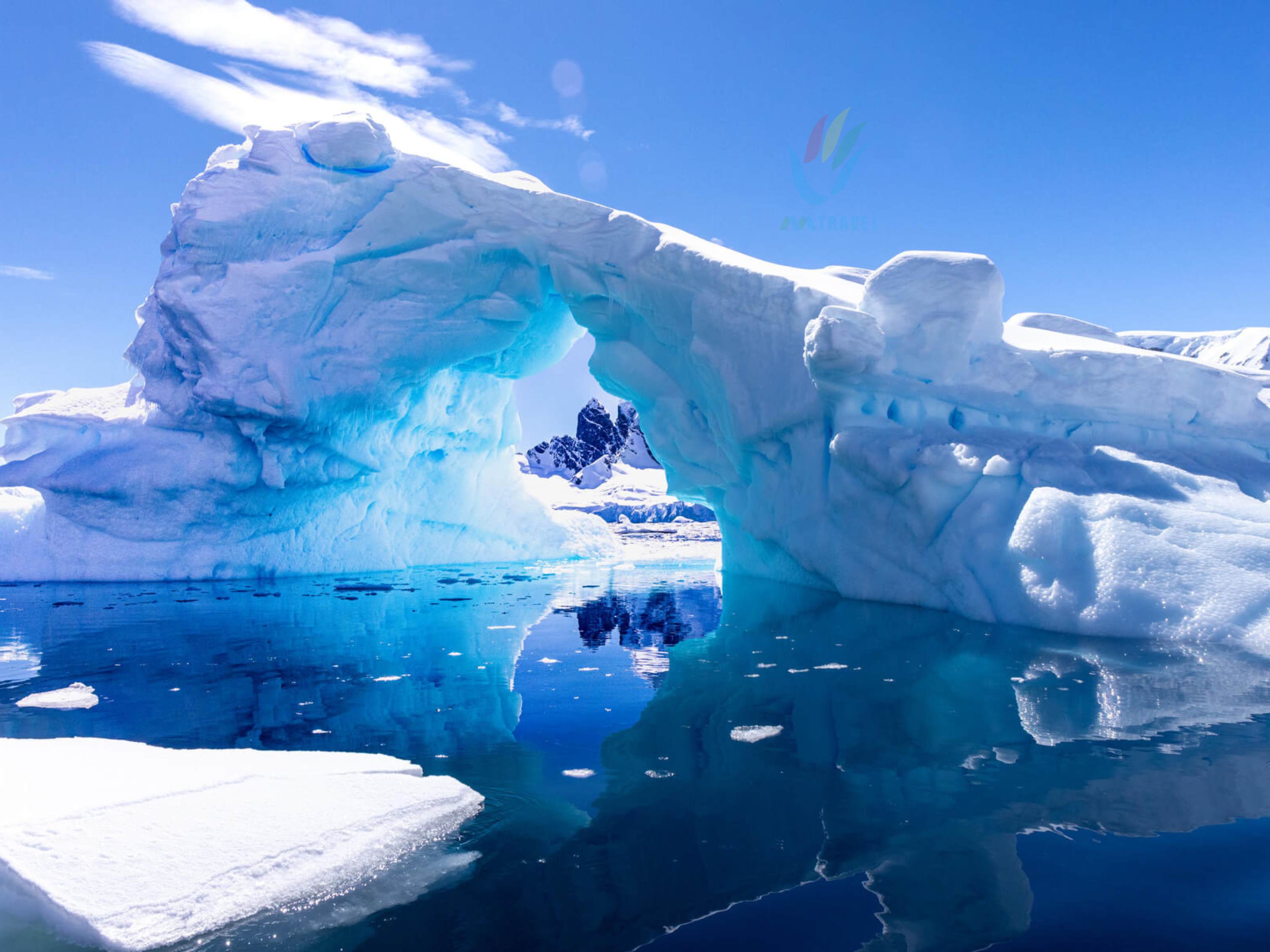 Tour Chào Mừng Năm mới tại Nam Cực 2025