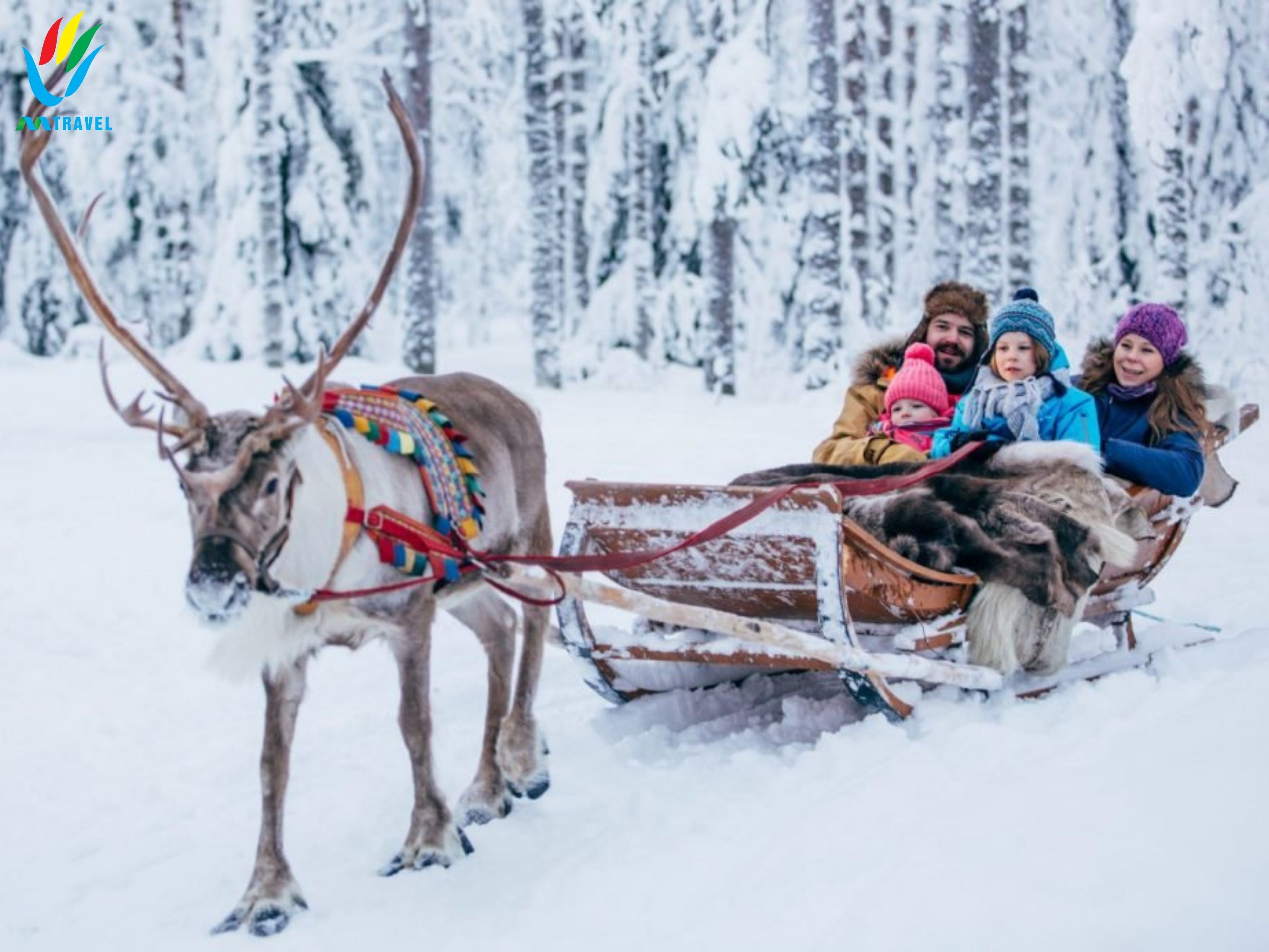 Tour Săn bắc cực quang trên du thuyền bắc cực, thăm làng ông Già Noel 10_3_2024