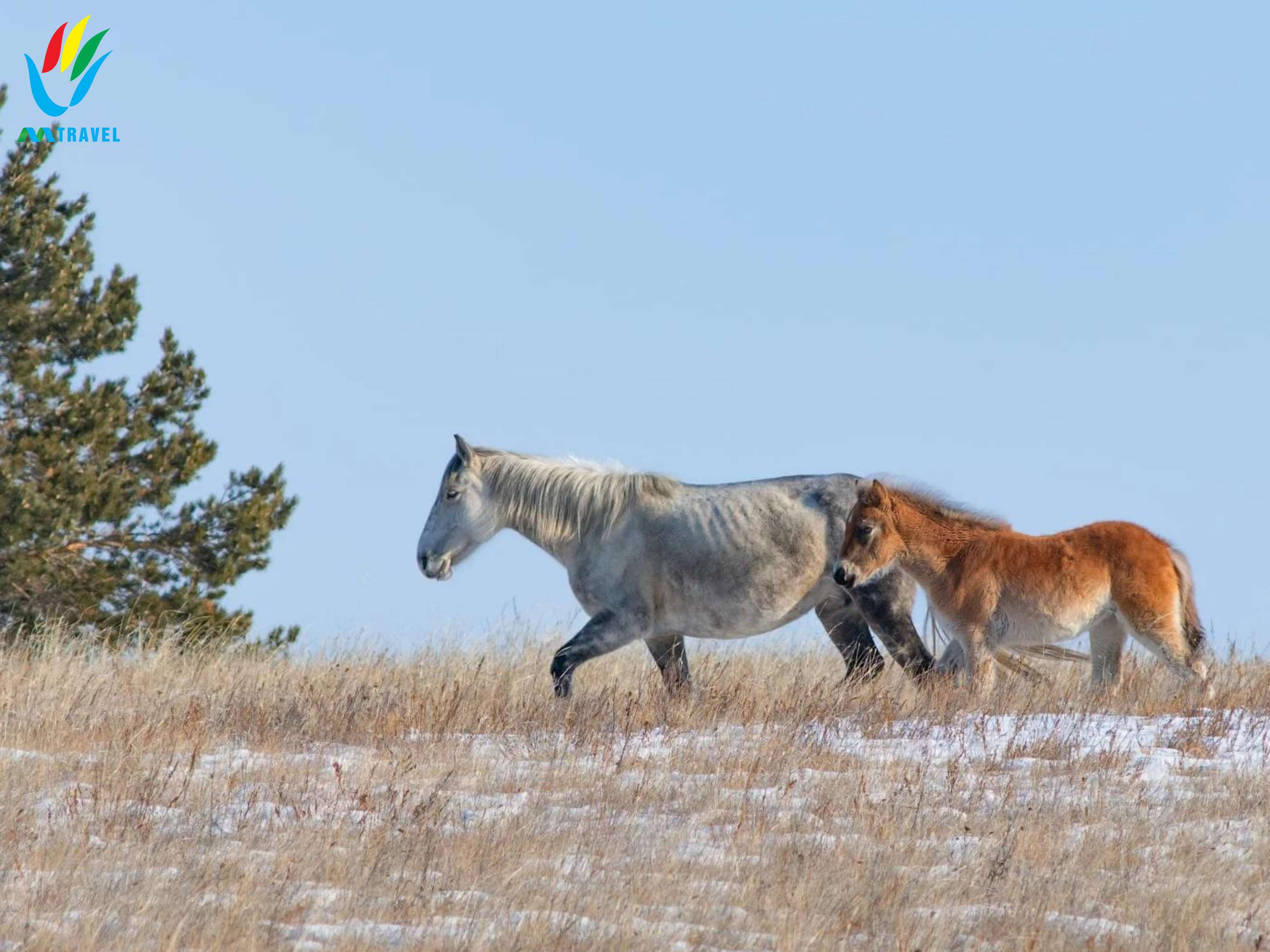 Tour Hồ Baikal Mùa Băng Xanh 2024