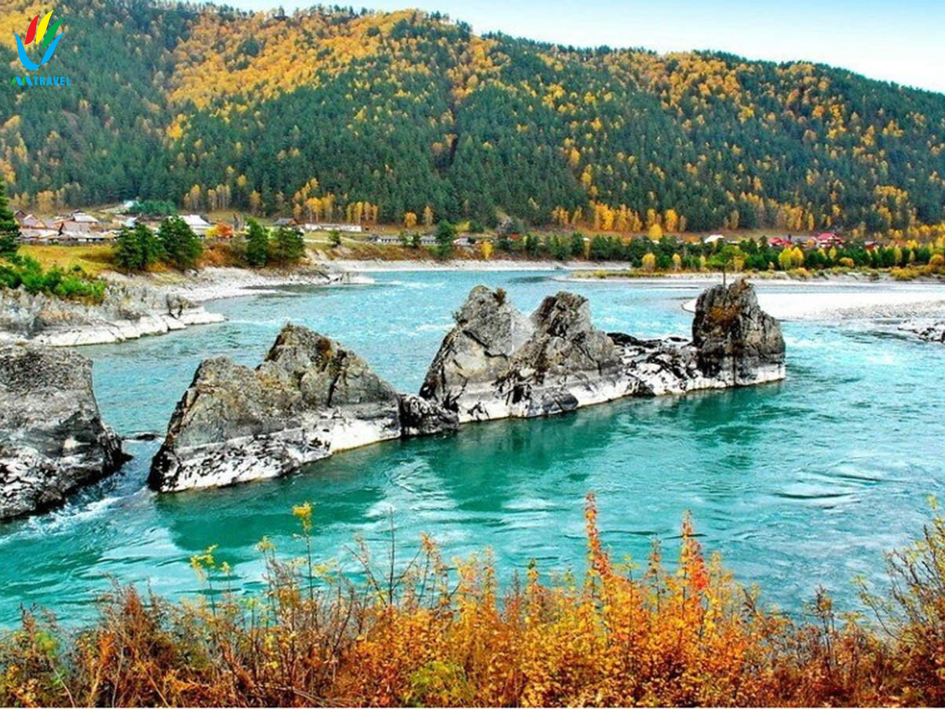 TOUR ALTAI NGA: Thưởng ngoạn mùa thu vàng vùng Altai LB Nga 2023