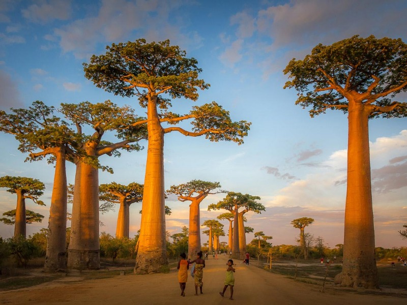 TOUR ĐẶC BIỆT: DU NGOẠN NAM PHI - MADAGASCAR- 17N16Đ - K/H: 24/09/2020
