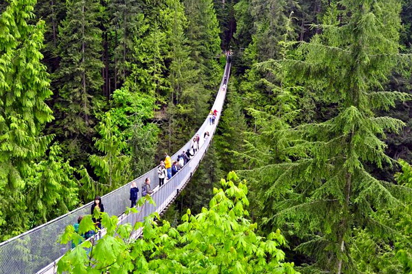 TOUR CANADA: TORONTO - NIAGAVA FALL - THOUSAND ISLANDS-VANCOUVER-VICTORIA 9N8Đ - 2022