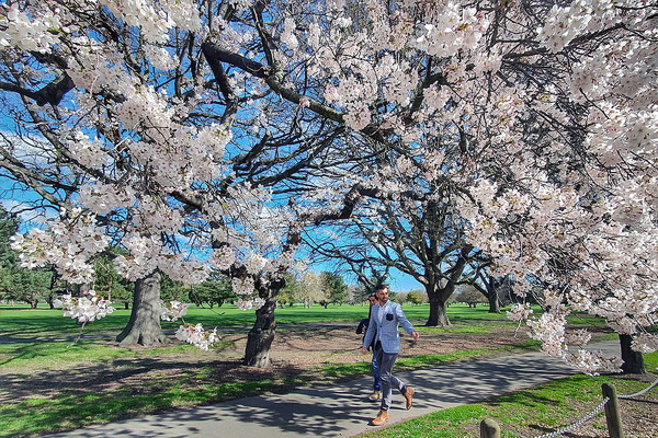 Tour New Zealand- Bắc Đảo - Nam Đảo 11 Ngày 10 Đêm mùa xuân 2024