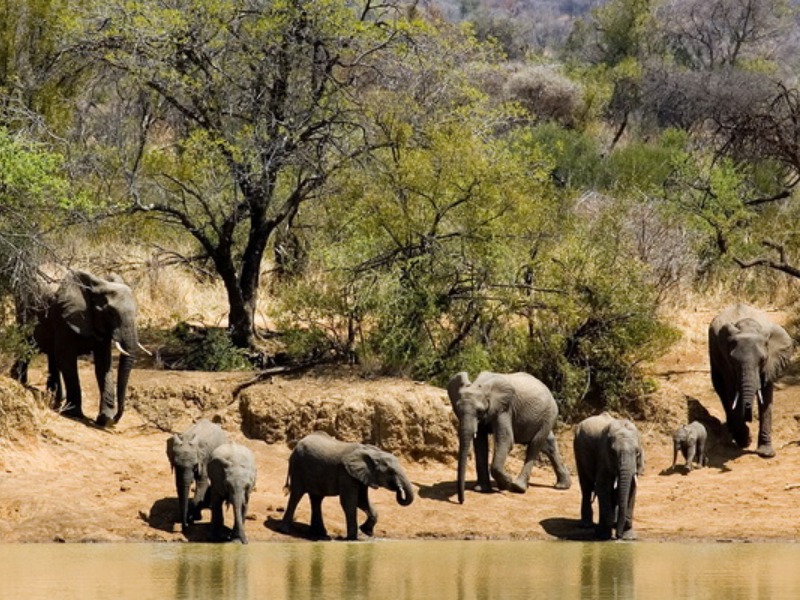 TOUR ĐẶC BIỆT: DU NGOẠN NAM PHI - MADAGASCAR- 17N16Đ - K/H: 24/09/2020