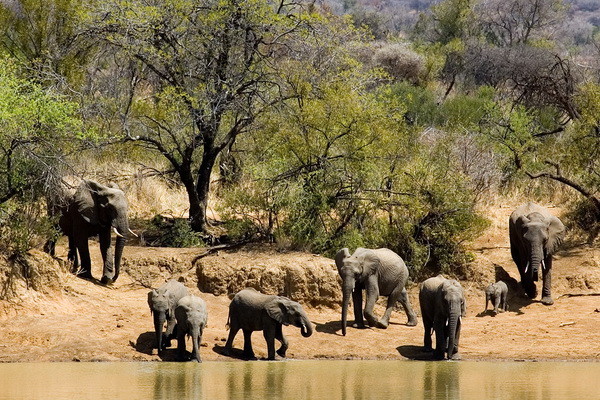 Tour Nam Phi: HÀ NỘI-JOHANNESBURG – PRETORIA – SUN CITY CAPE TOWN-HÀ NỘI 8 NGÀY 7 ĐÊM KHỞI HÀNH 17/2/2018