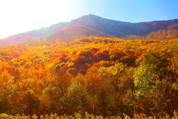 TOUR NGA-CRƯM: MÙA THU VÀNG BÁN ĐẢO CRƯM 2020- 12N/11D