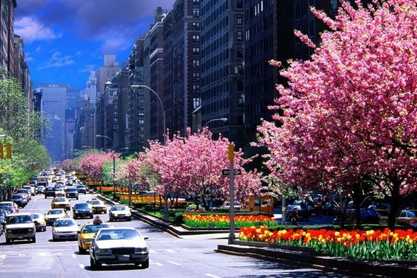 TOUR MỸ : LIÊN TUYẾN ĐÔNG - TÂY - 10 ngày 09 đêm khởi hành 2019