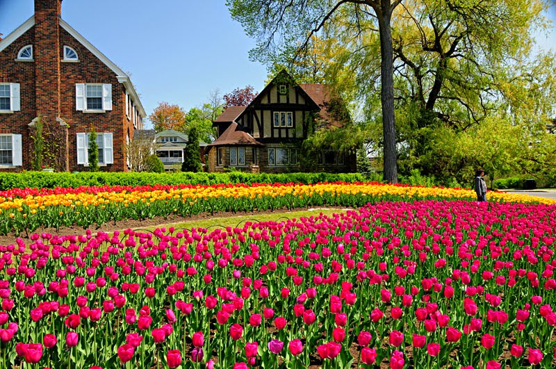 TOUR CANADA: TORONTO - NIAGAVA FALL - THOUSAND ISLANDS-VANCOUVER-VICTORIA 9N8Đ - 2022