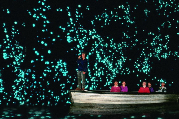 Tour New Zealand- Bắc Đảo - Nam Đảo 11 Ngày 10 Đêm 2024