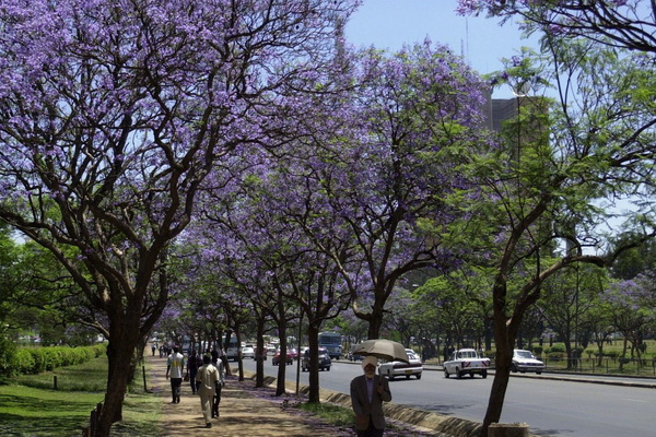 Tour Nam Phi: HÀ NỘI-JOHANNESBURG – PRETORIA – SUN CITY - CAPE TOWN-HÀ NỘI 8N/7D - K/H: 19/10/2018