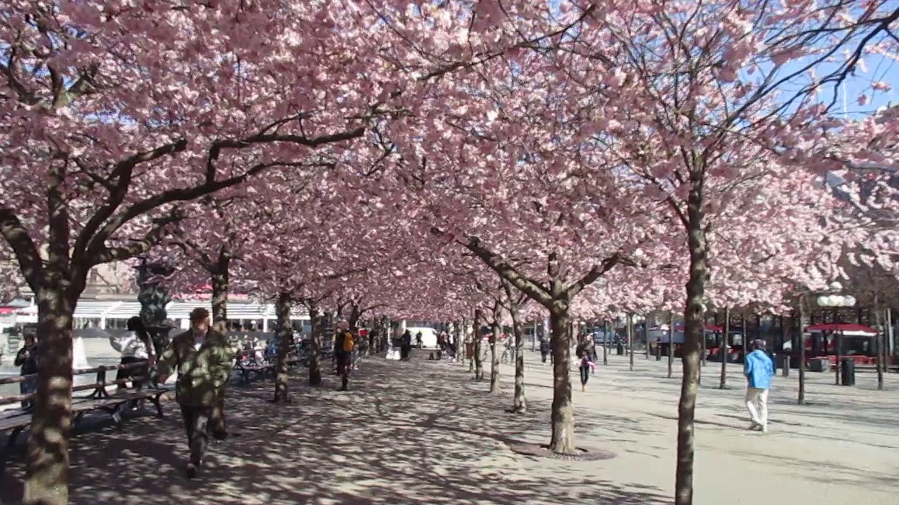 Tour Bắc Âu: HÀ NỘI -HELSINKI – STOCKHOLM – KARLSTAD – OSLO – COPENHAGEN – HÀ NỘI 10 ngày 9 đêm khởi hành 2019