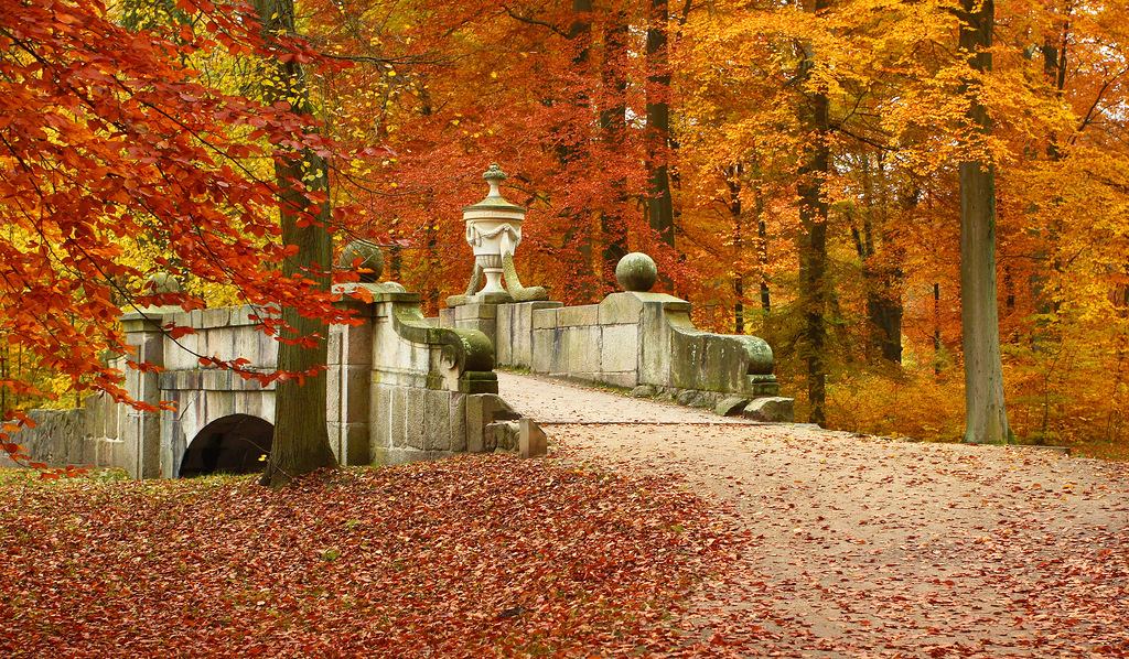 Tour Nga: Hà Nội - Saint Petersburg -Moscow 8 ngày 7 đêm: MÙA THU VÀNG NƯỚC NGA 2022