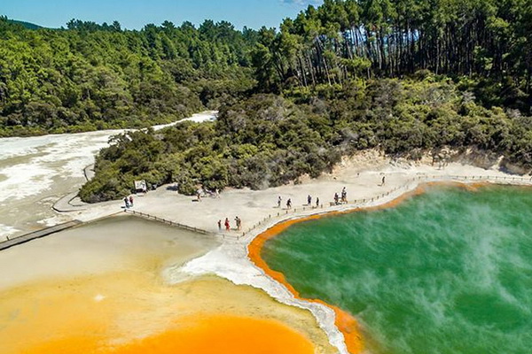 Tour New Zealand- Bắc Đảo - Nam Đảo 11 Ngày 10 Đêm mùa xuân 2024