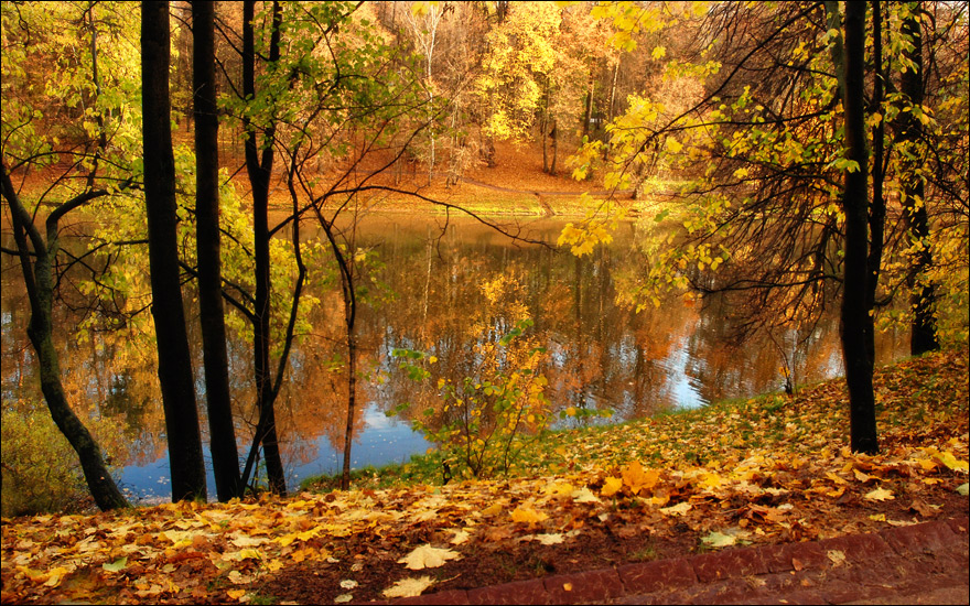 Tour Nga: Hà Nội - Saint Petersburg -Moscow 8 ngày 7 đêm: MÙA THU VÀNG NƯỚC NGA 2022