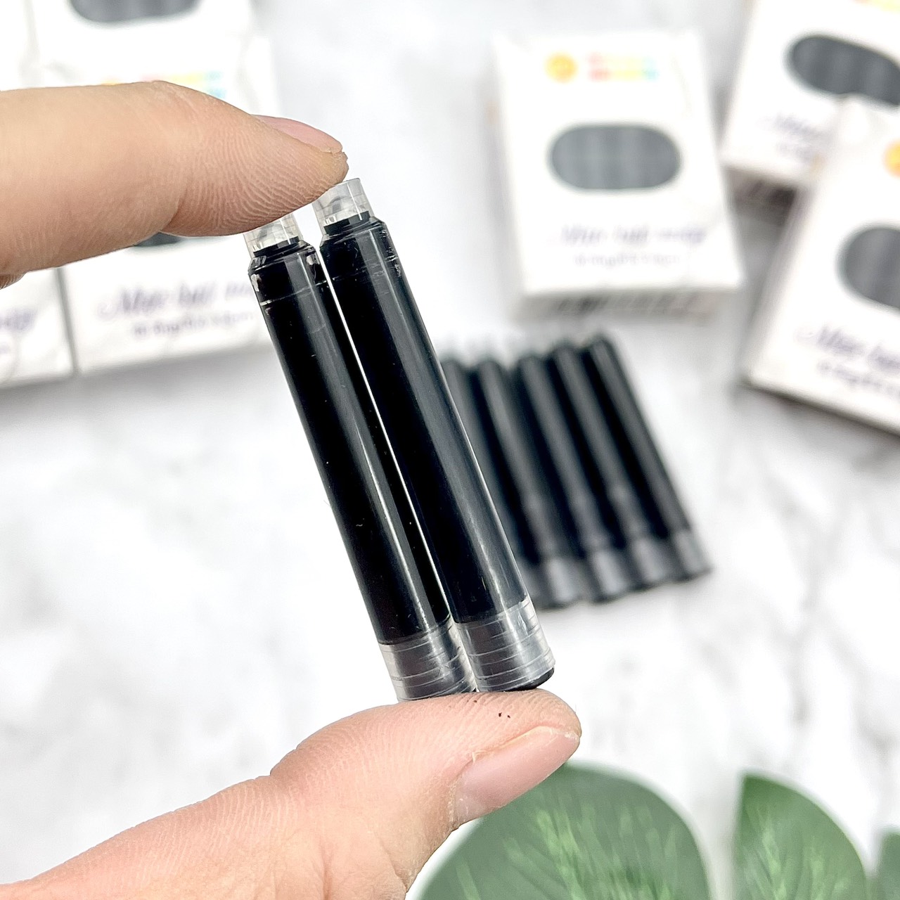 Mực ống dài tiện lợi