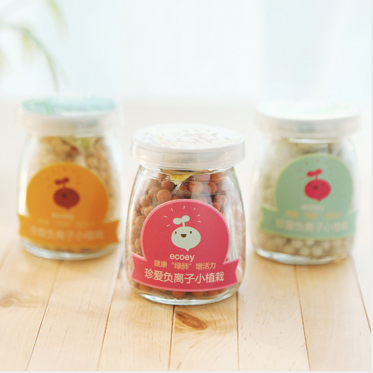 Lọ trồng cây thần kì thuỷ tinh