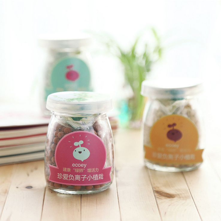 Lọ trồng cây thần kì thuỷ tinh